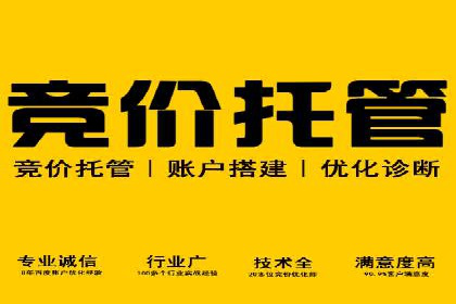 百度SEM优化案例：提升品牌知名度